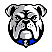 NRL Bulldogs